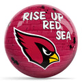 Arizona Cardinals Graffiti