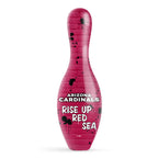 Arizona Cardinals Graffiti Pin