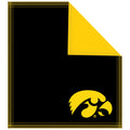 Iowa Shammy