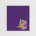 Disney Princesses Shammy