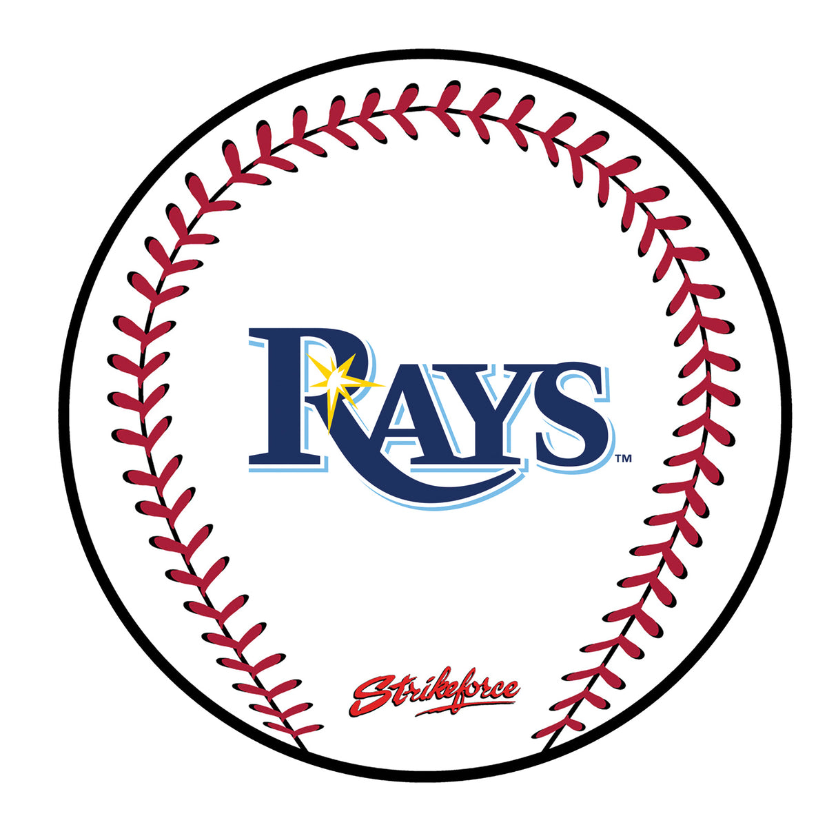 Tampa Bay Rays Rubber Shammy