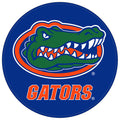 Florida Rubber Shammy