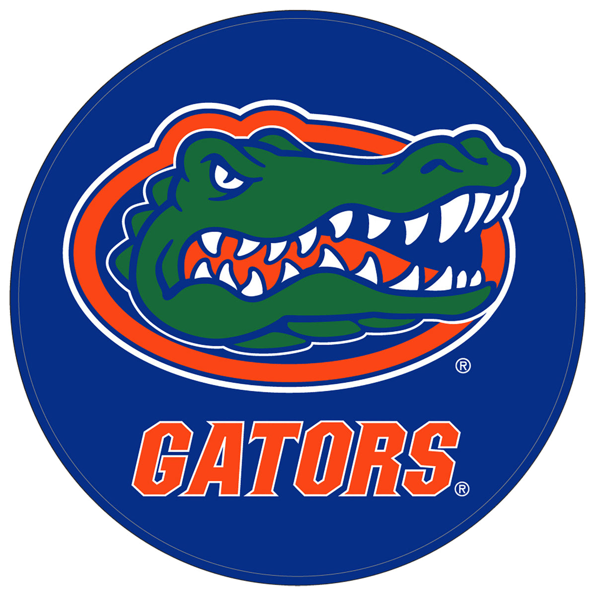 Florida Rubber Shammy
