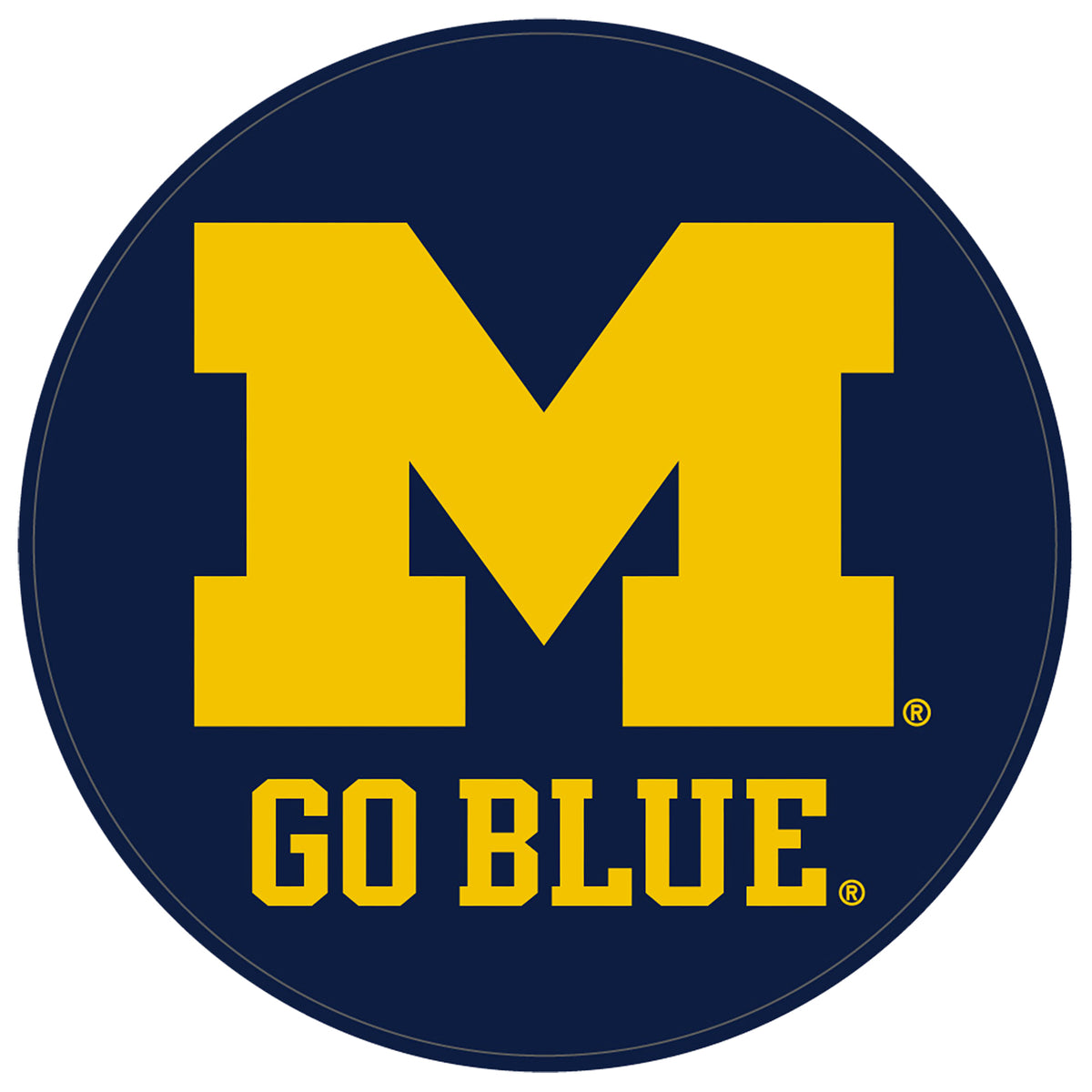 Michigan Rubber Shammy
