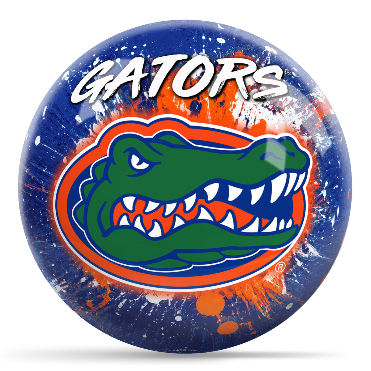 Florida Paint Splash