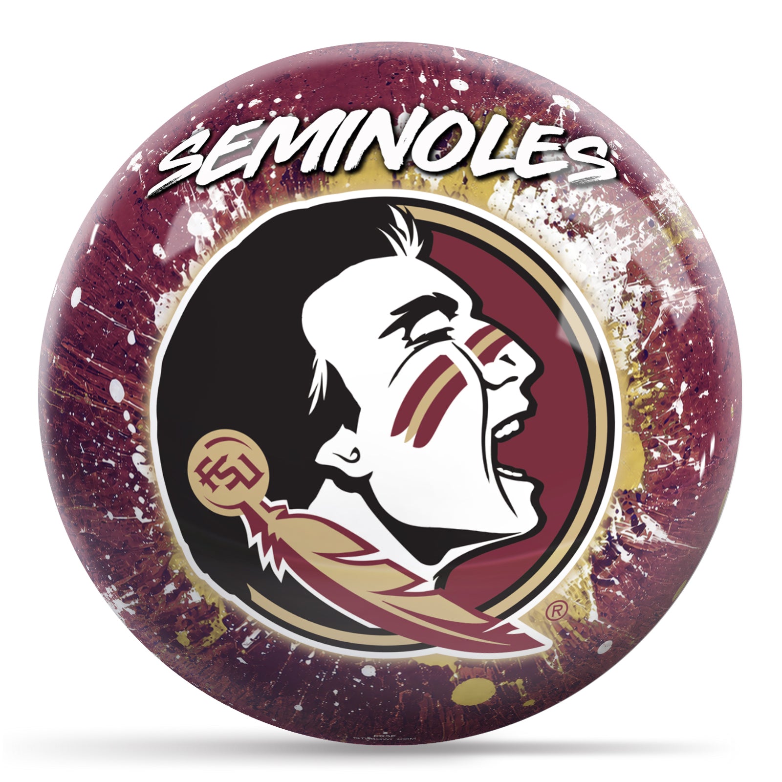 Florida State Paint Splash