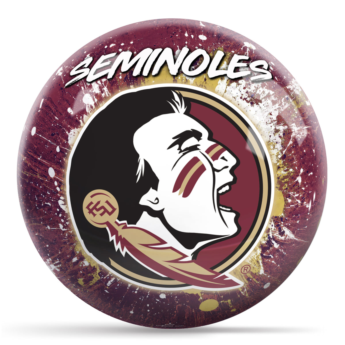 Florida State Paint Splash