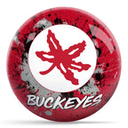 Ohio State Paint Splash