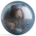 Bearly Swimming