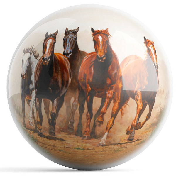 Break Away - Wild Horses