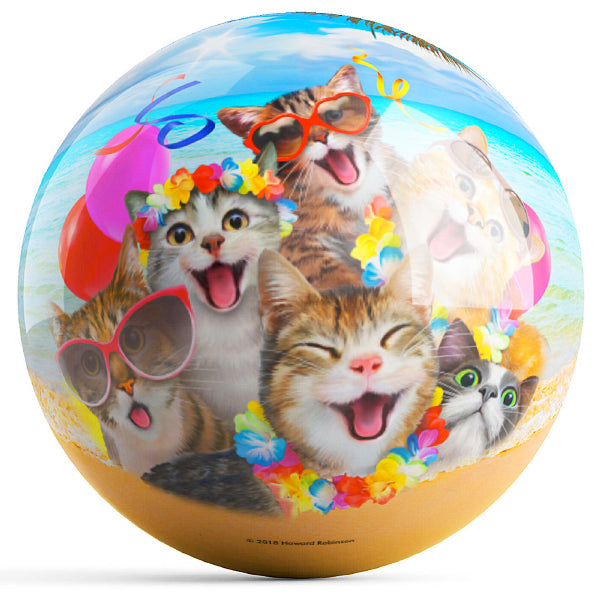 Cats Selfie