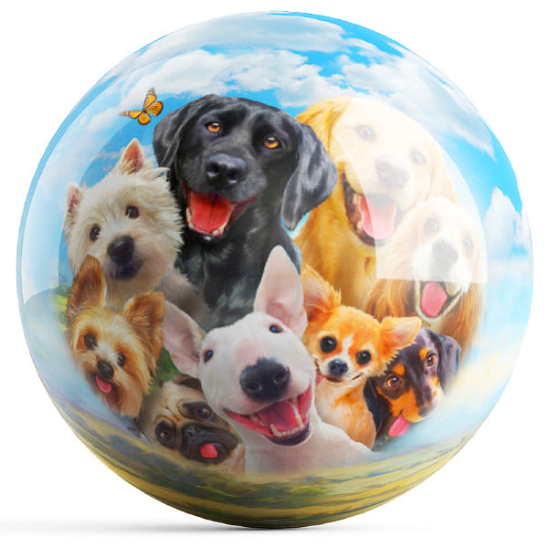 Dogs Selfie