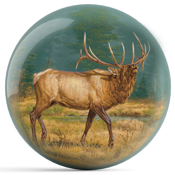 Elk
