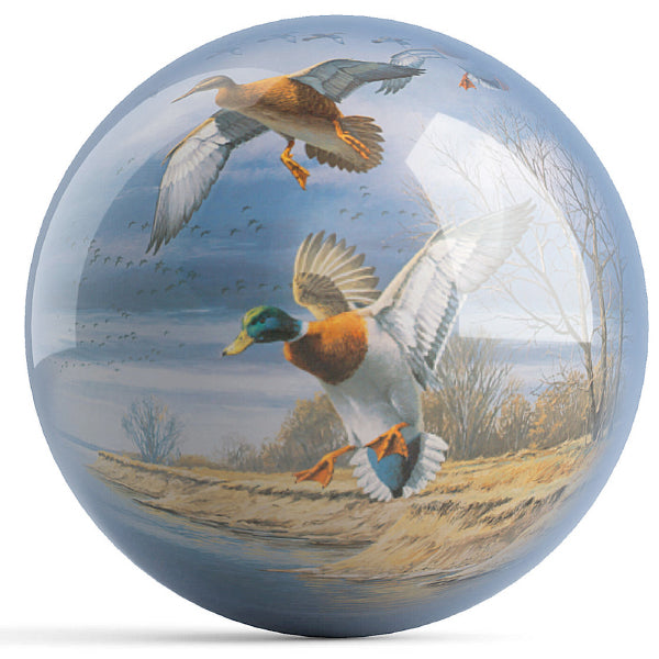 Mallards Flight