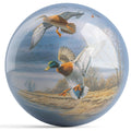 Mallards Flight