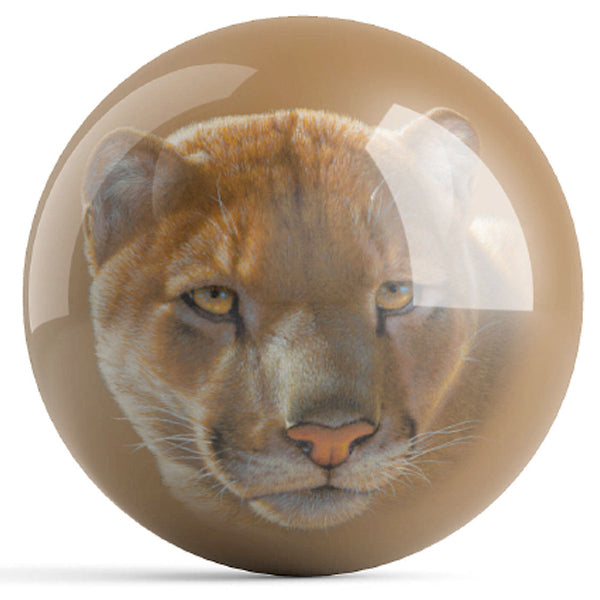 Mountain Lion