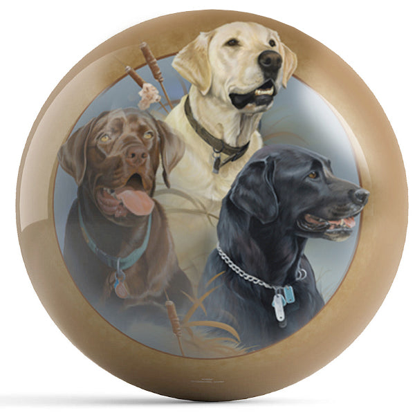 Three Labs