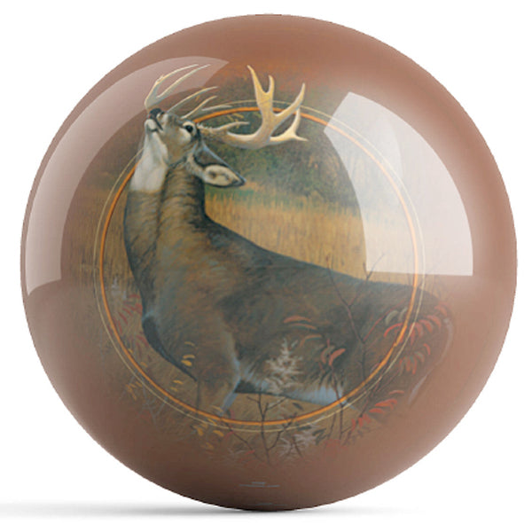 White Tailed Stag